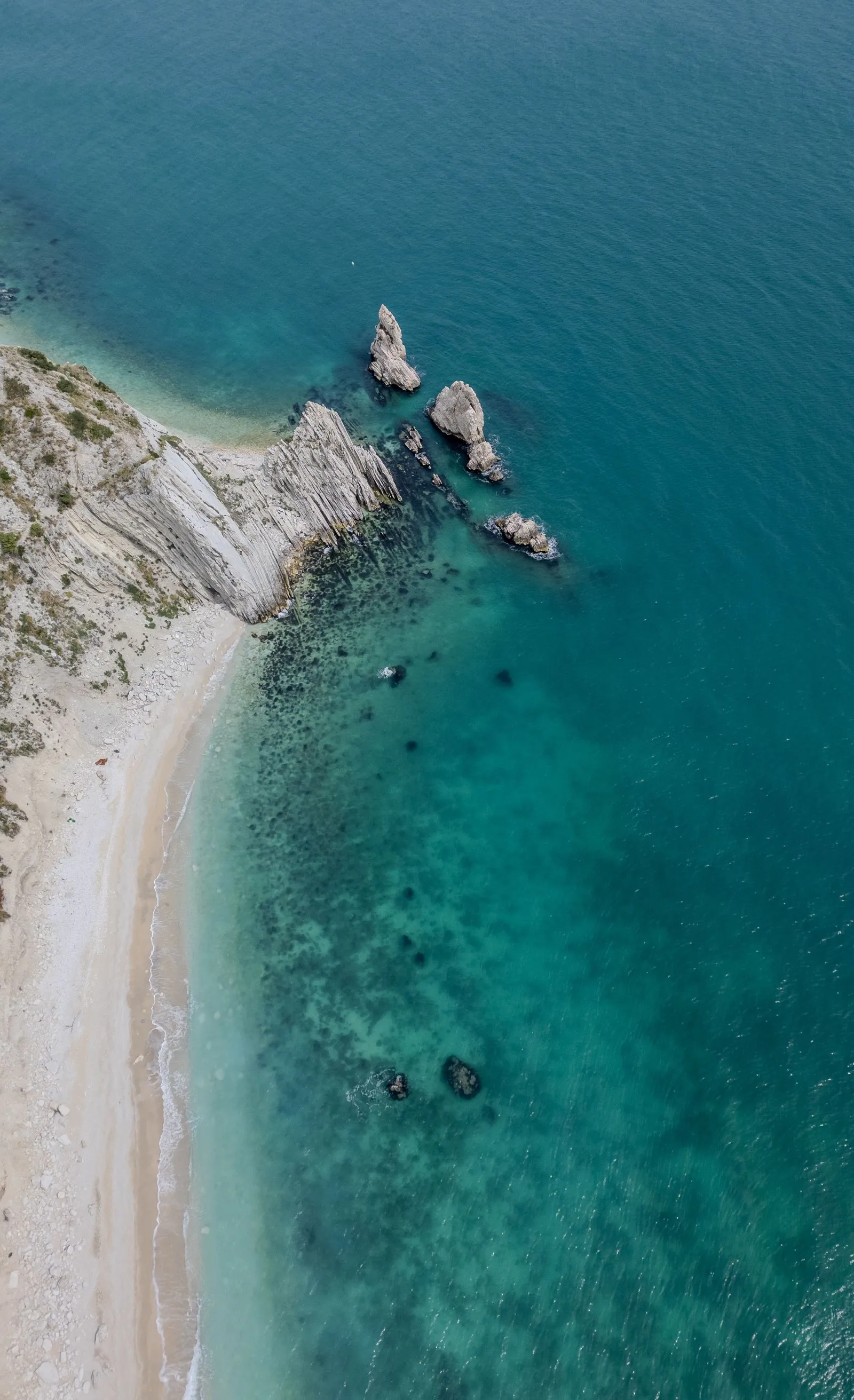 Vista aerea delle falesie stratificate bianche del Monte Conero a picco su un mare turchese, con una piccola caletta di ciottoli ai loro piedi
