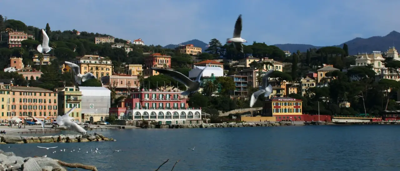 Il lungomare di Santa Margherita Ligure con le case colorate viste dal mare e gabbiani in volo